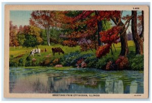 c1930's Greetings from Effingham Illinois IL Horse Tree Farm River Postcard