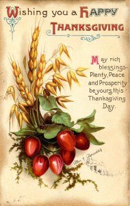 Greeting - Thanksgiving. Artist: Clapsaddle    (Embossed)