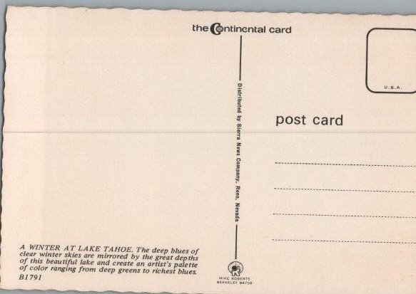 Winter Tine at Lake Tahoe Continental Chrome Postcard