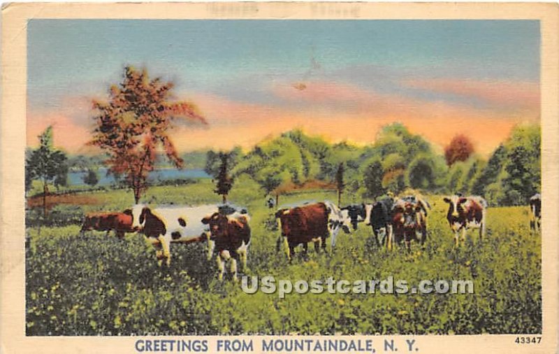 Greetings from - Mountaindale, New York