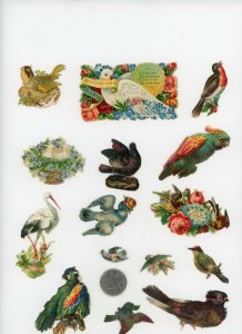 1880's Birds Lot of 15 Die Cut Victorian Scrap X363