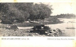 Shore, Lake Auburn in Auburn, Maine