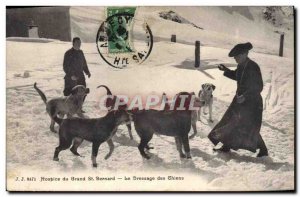 Postcard Old Dogs Dog Hospice du Grand St Bernard dog training