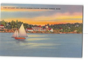 Boothbay Harbor Maine ME Postcard 1948 Fish Hatchery and Lobster Rearing Station
