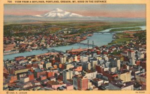 Vintage Postcard 1930's View From Skyliner Mt. Hood In Distance Portland Oregon