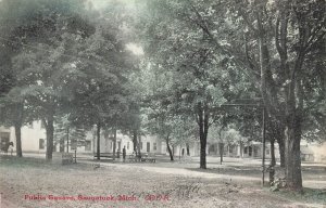 Saugatuck Michigan MI~Public Square-Butler & Main Streets~C R Childs POSTCARD