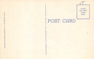 A California Highway View Postcard Backing 