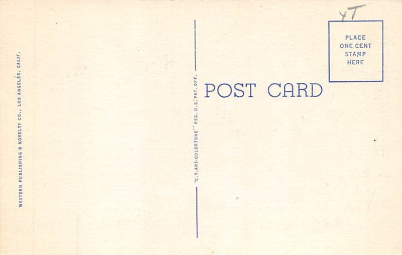 A California Highway View Postcard Backing 