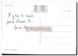 Modern Postcard See you Nannies From Monkey