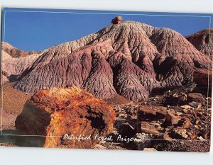 Postcard Petrified Forest Arizona USA