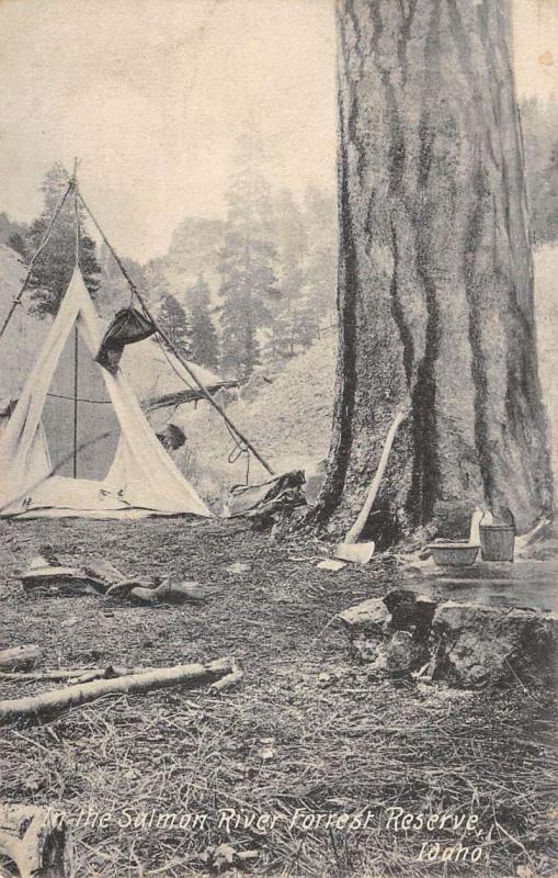 Forest Reserve Idaho Salmon River Scenic View Antique Postcard K84028