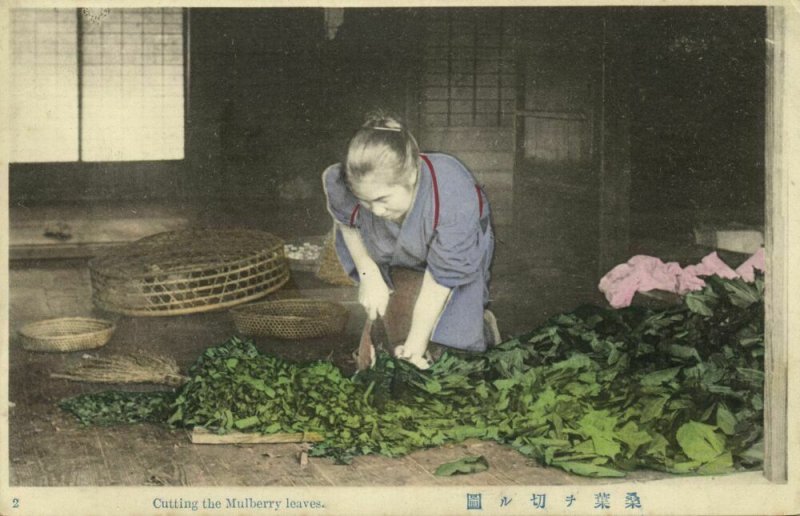 japan, Set of 10 Postcards, Native Japanese Silk Industry (1910s)