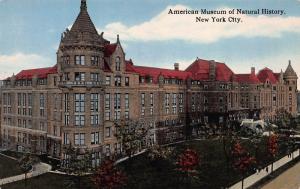 American Museum of Natural History, New York, N.Y., Early Postcard, Unused