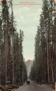 B237 Canada Snow Peak Avenue Emerald Lake Canadian Rockies postcard