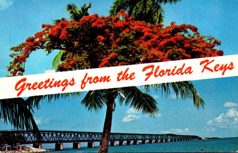 Florida Greetings From The Florida Keys Showing Bahia Honda Bridge and Poinci...