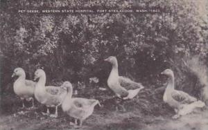 Washington Fort Steilacoom Our Five Oets Western State 