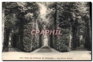 Old Postcard Parc Du Chateau De Chantilly Three Allees