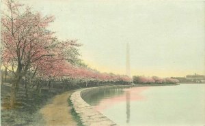 Washington DC 1921 Monument Cherry Blossoms RPPC Photo Postcard 21-11426