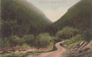 LP49  Catskill Mountains, New York, NY, postcard, Stony 