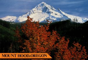 Mount Hood,OR BIN