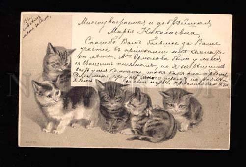 012426 Charming KITTENS w/ Bow Vintage Greeting Embossed PC