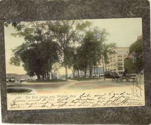 PITTSFIELD MA THE PARK 1905 Postcard UDB
