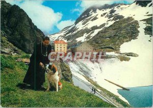 Postcard Modern Passage of the g m s bernardo 2476 monk with his dog Dog