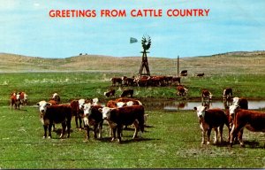 Nebraska Greetings From Cattle Country With Windmill