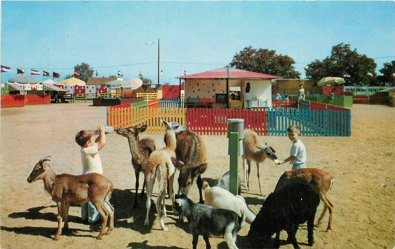 Postcard California Pasadena Ruhe's Baby Petting zoo Children Mellinger 23-4684