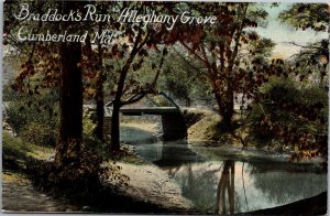 Postcard MD Cumberland Braddock's Run Alleghany Grove