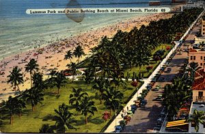 Florida Miami Beach Lummus Park and Public Bathing Beach 1950