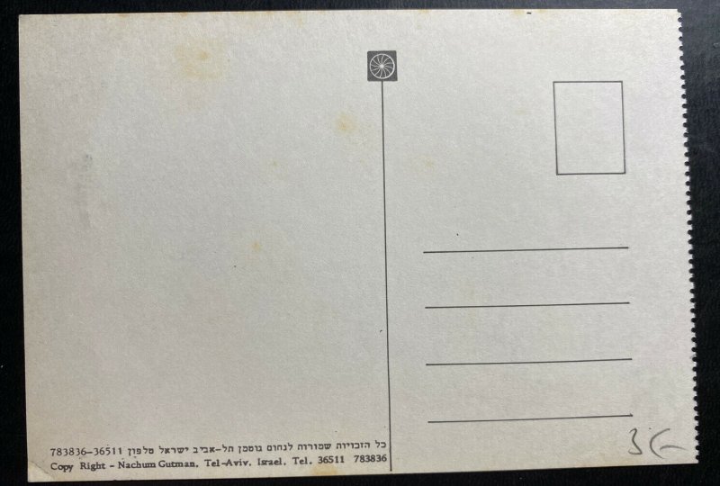 Mint Israel Real Picture Postcard RPPC 6 Days War 1967 Soldiers Training