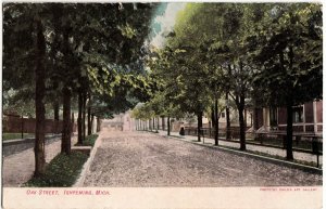 1907 ISHPEMING Michigan Mich Postcard OAK STREET Homes Trees