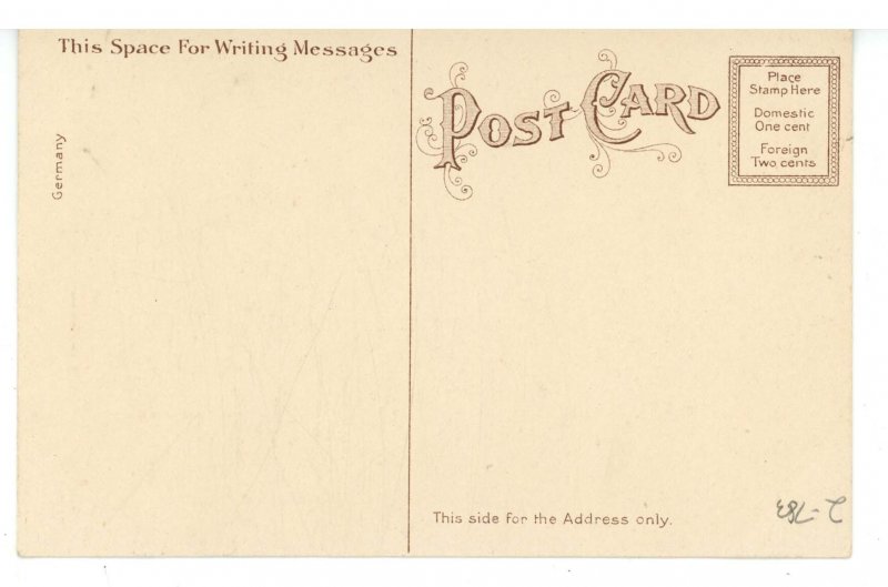 MA - Cambridge. The Washington Elm