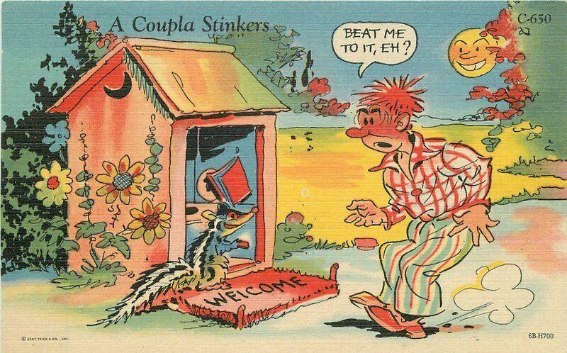 Comic Humor 1940s Ray Walters Outhouse Skunk Stinkers Postcard Teich 2127