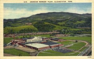 American Bemberg Plant - Elizabethton, Tennessee TN  