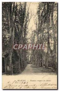 Old Postcard Beaune Platanes bulwark las Ladies