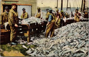 Gloucester MA Splitting Fresh Fish at Port Fishermen Postcard H6 *as is