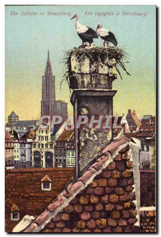 Old Postcard Storks Strasbourg