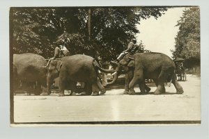 RPPC c1910 CIRCUS PARADE Street Scene ELEPHANT LINE Elephants
