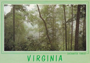 George Washington National Forest Virginia