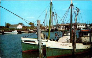 Postcard BUSINESS ACTIVITY SCENE Ocean City Maryland MD AM4554