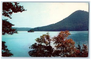 c1950's Scenic View Of Lake Ocoee In Southeastern Tennessee TN Vintage Postcard