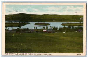 1942 The Intervale Lands of the Saint John River New Brunswick Canada Postcard