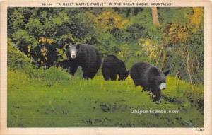 Bear Great Smoky Mountain Unused 