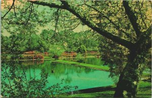 Azaleas Blooming Fish Hatchery Pond Mobile Alabama AL 1965 Chrome Postcard