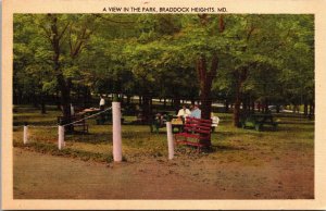 Picnic Tables and Benches, A View in the Park, Braddock Heights MD Postcard O55