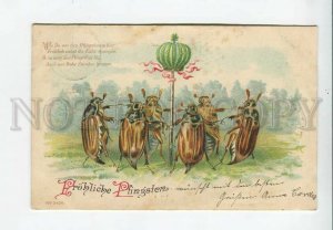 3176745 Pentecost MAY BUG BEETLE DANCE Vintage color PC