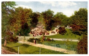 New York  Zoological Park   view from Mountain Sheep Hill