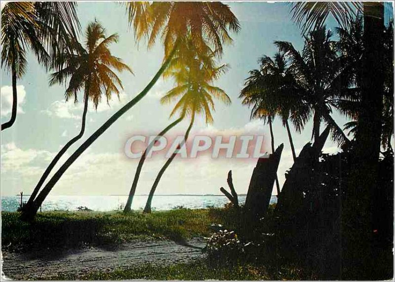 'Postcard Modern Landscape New Caledonia D''Ouvea'